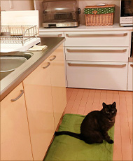 ���q�l��i